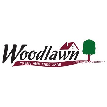 Woodlawn Tree Service